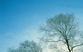 ddos在线攻击工具